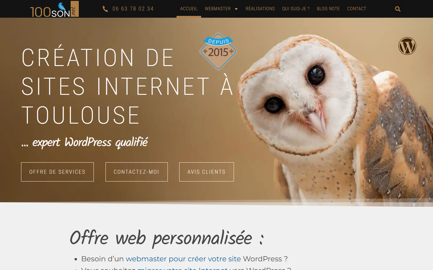 Aperçu du site de 100son.net