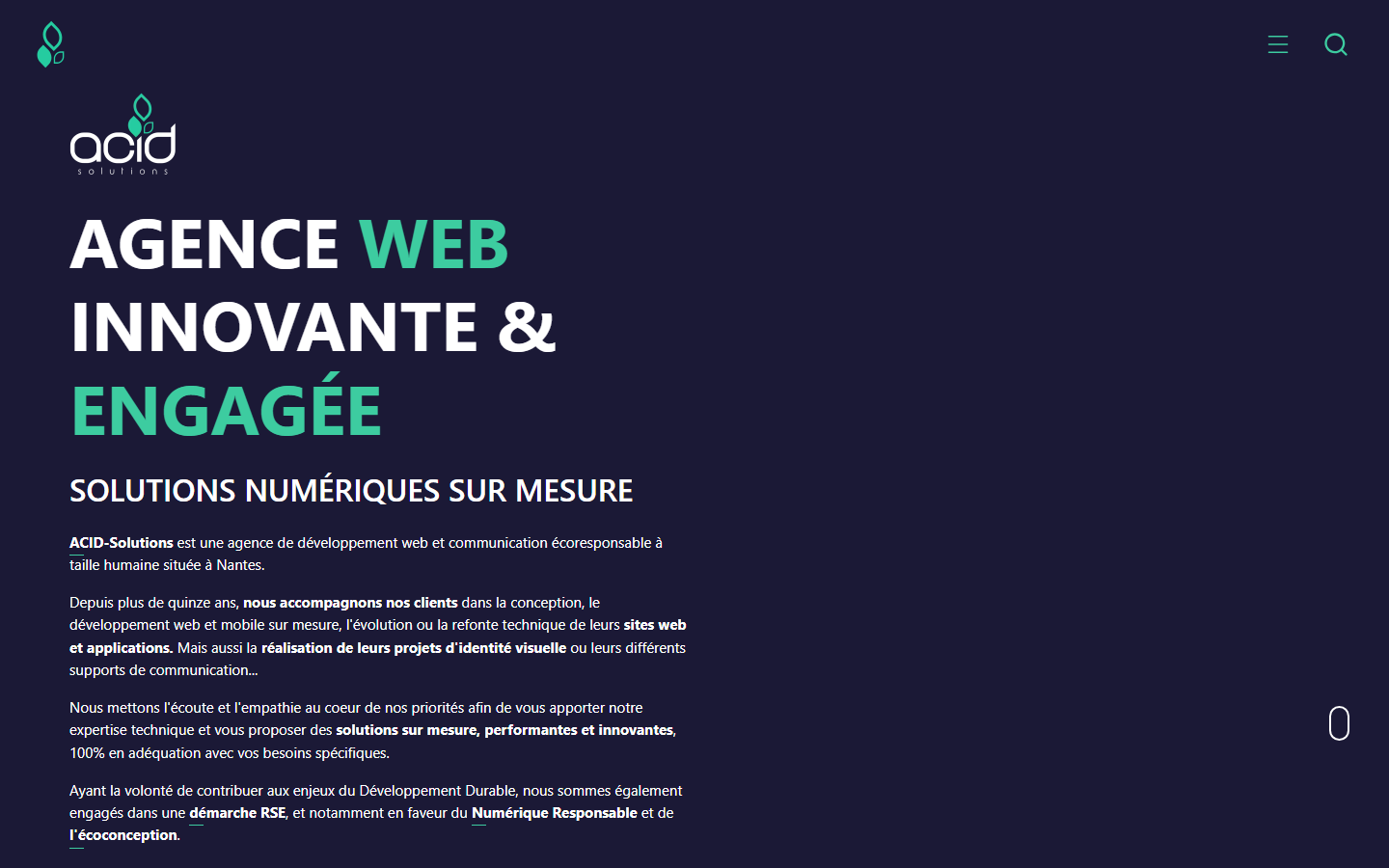 Aperçu du site de Acid-solutions