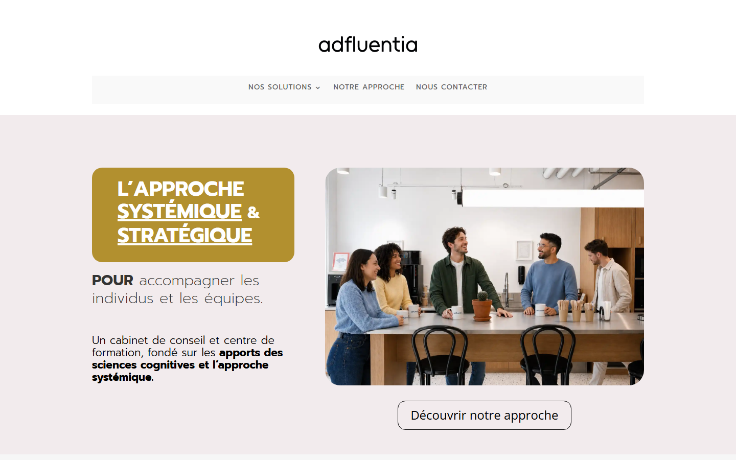 Aperçu du site de AdFluentia