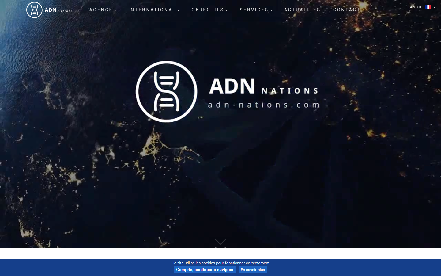 Aperçu du site de Adn Nations