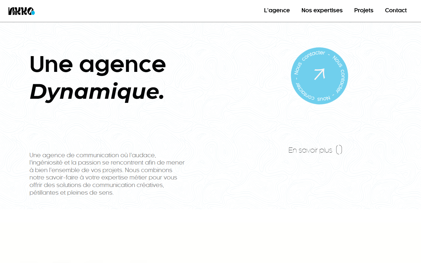 Aperçu du site de AGENCE NAKKO SAS