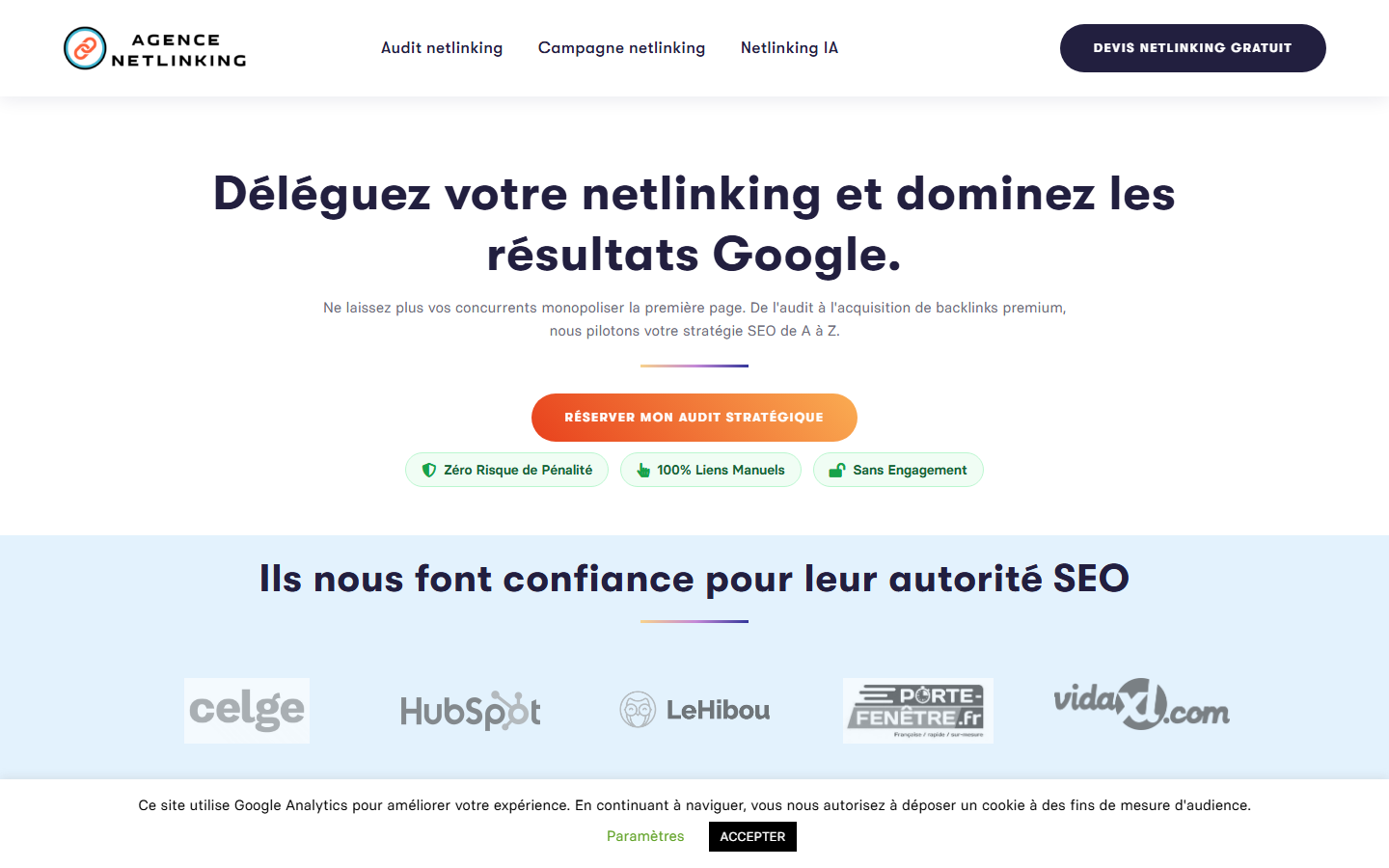 Aperçu du site de Agence Netlinking