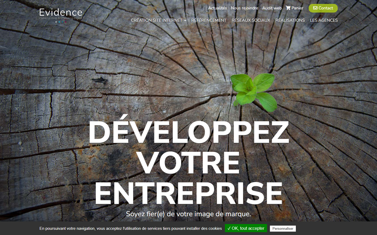 Aperçu du site de Agence web Evidence