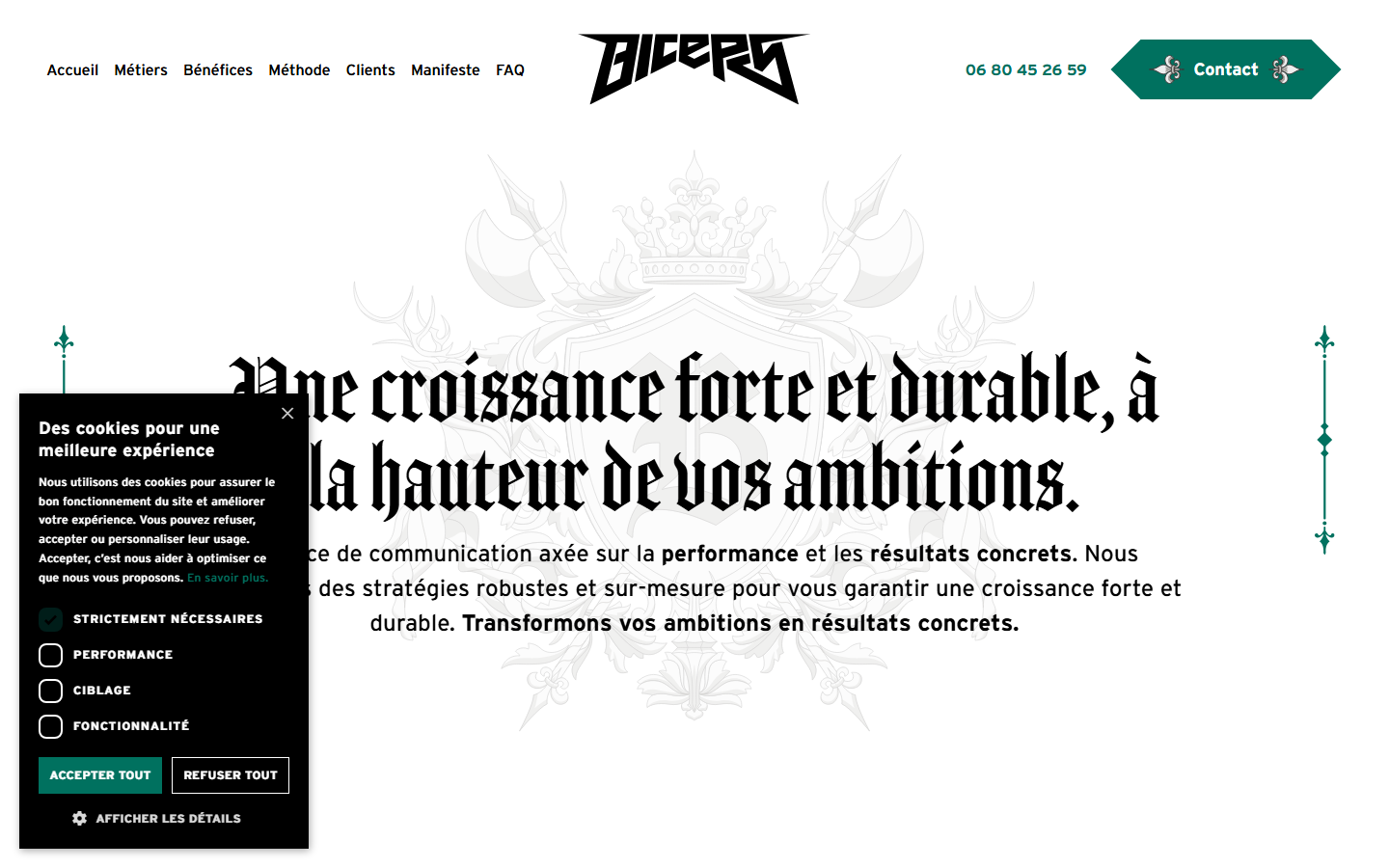 Aperçu du site de Biceps