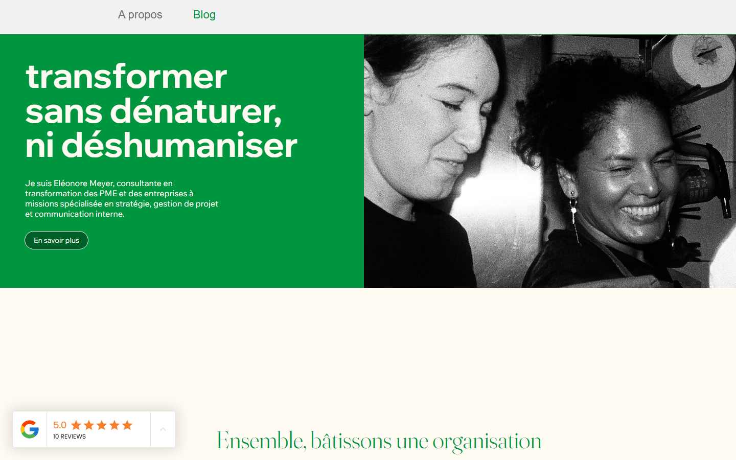 Aperçu du site de AGENCE ELEONORE MEYER