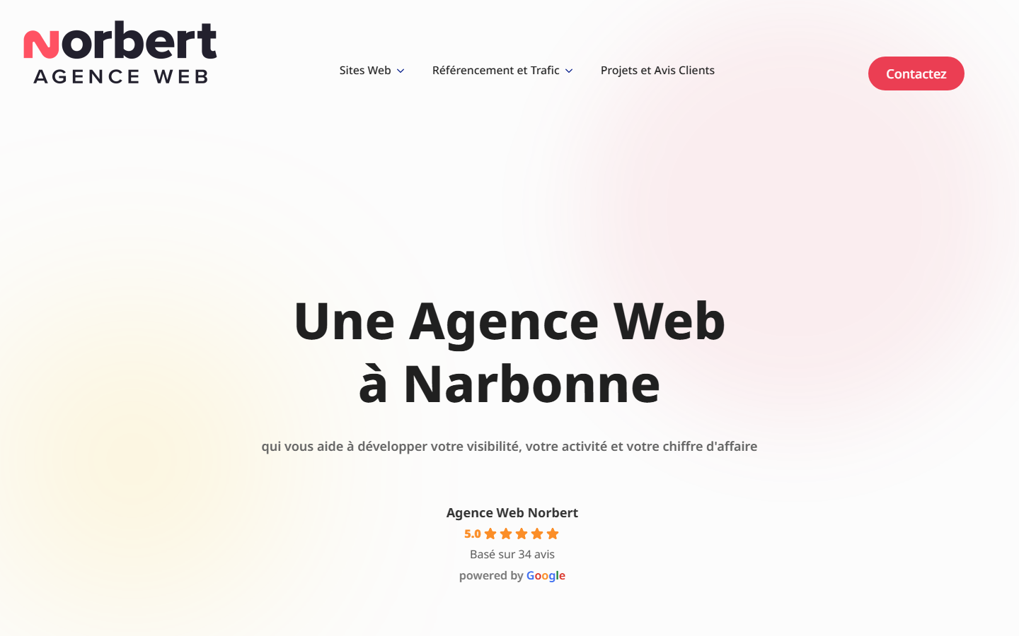 Aperçu du site de Agence Web Norbert