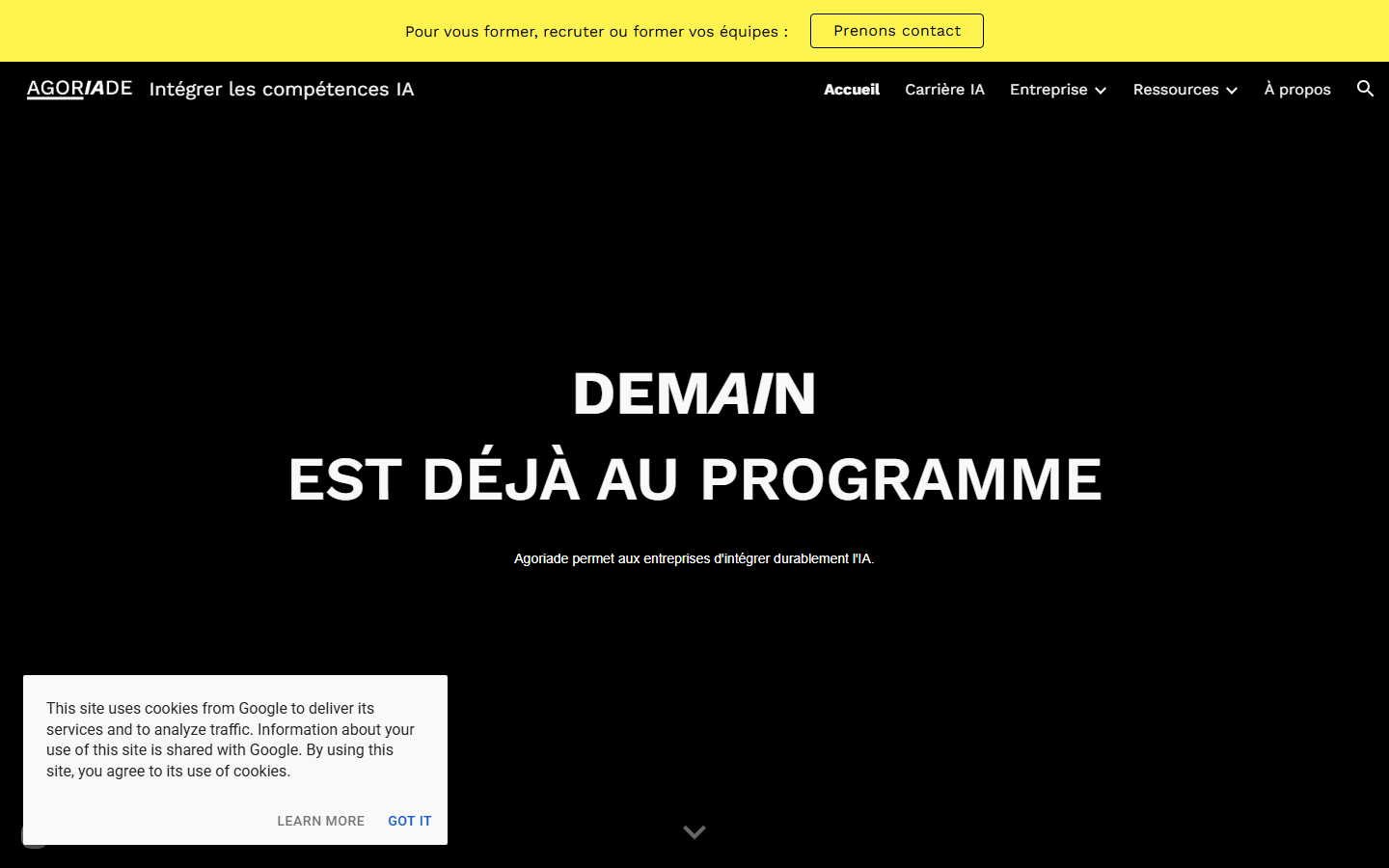 Aperçu du site de AGORIADE