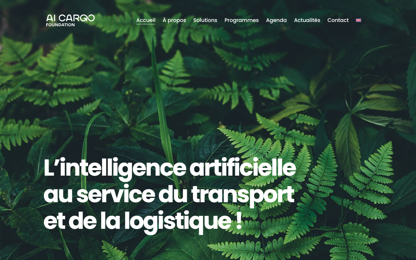 Aperçu du site de AI CARGO FOUNDATION