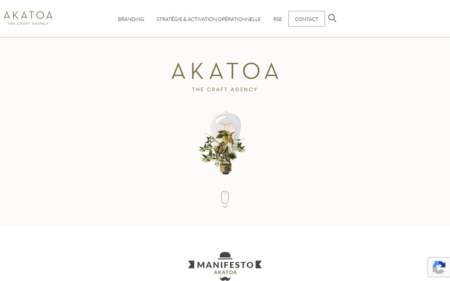 Aperçu du site de Akatoa
