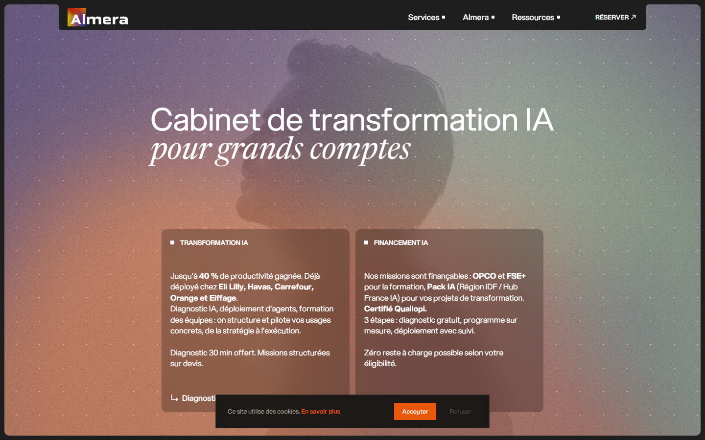 Aperçu du site de Almera