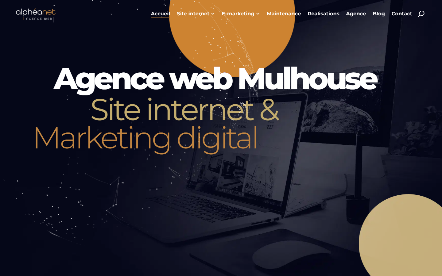 Aperçu du site de ALPHEA NET