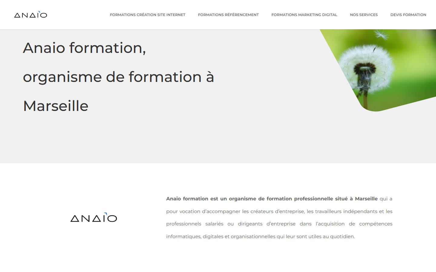 Aperçu du site de ANAIO FORMATION