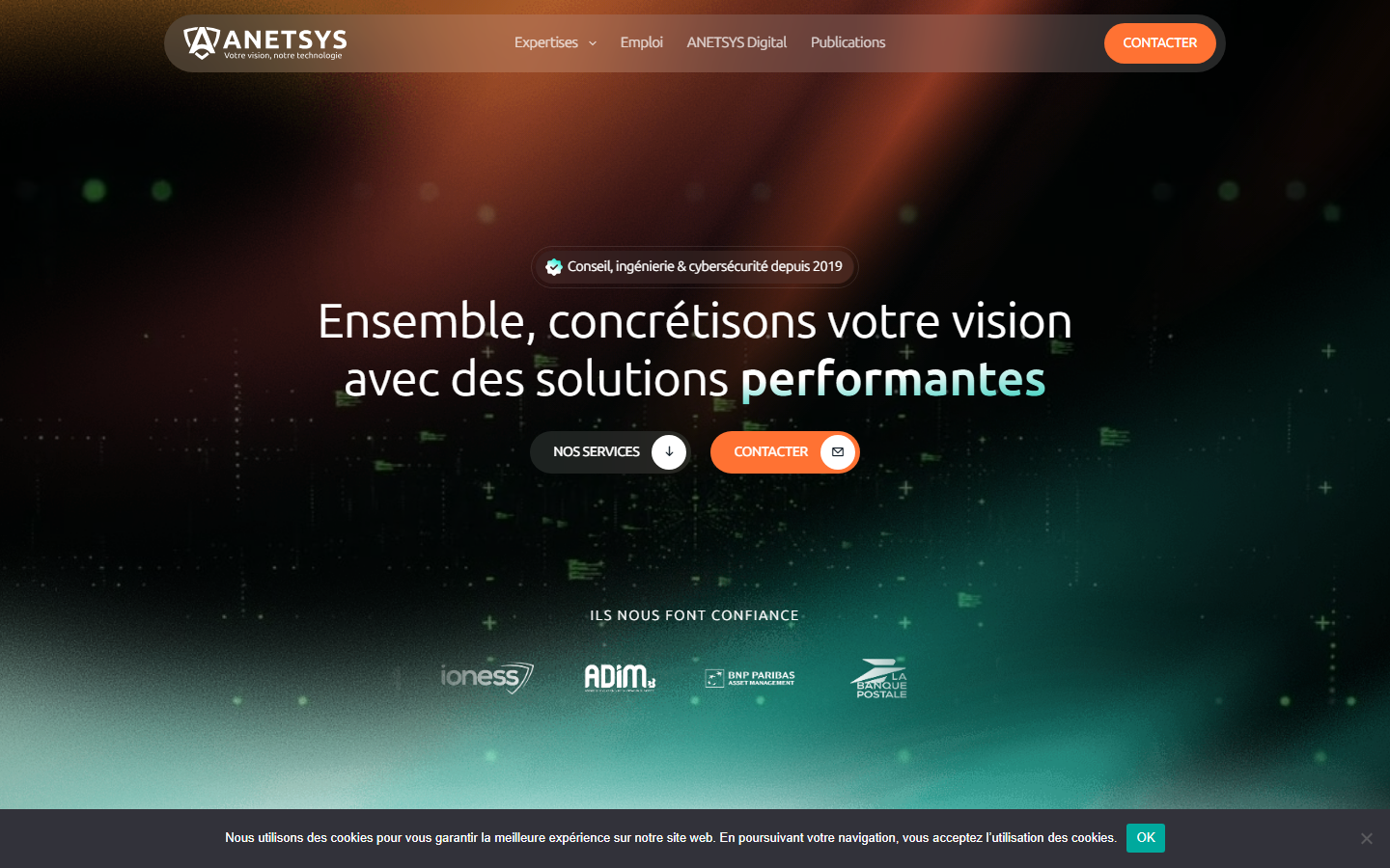 Aperçu du site de ANETSYS