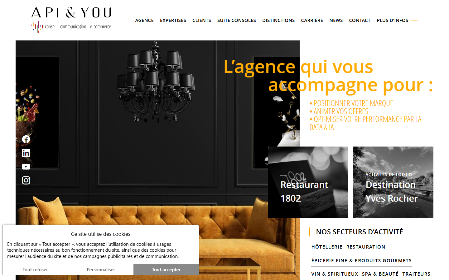 Aperçu du site de API & YOU