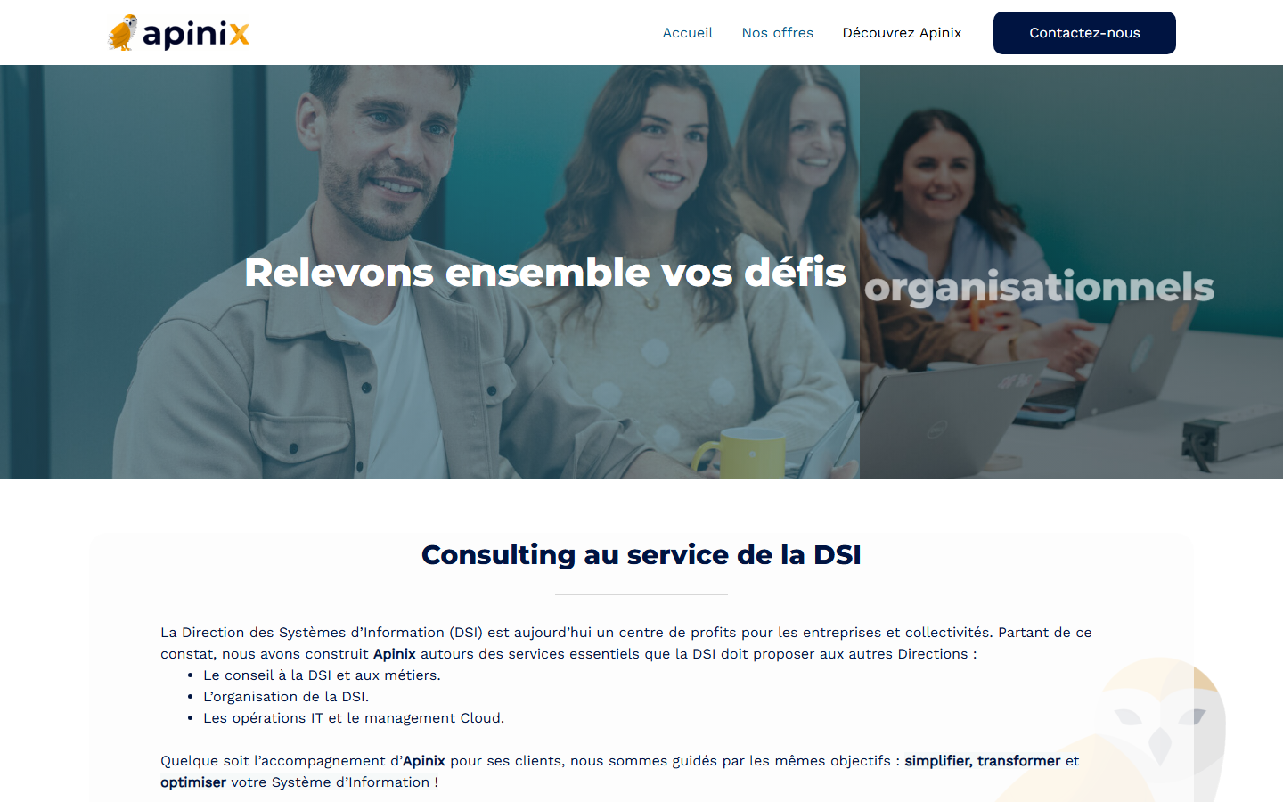 Aperçu du site de apini