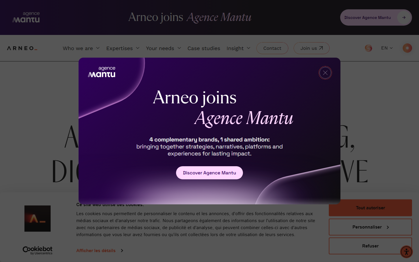 Aperçu du site de ARNEO CONSULTING