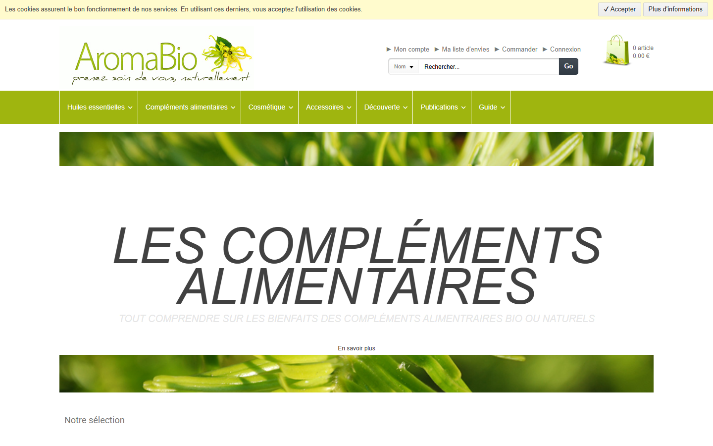 Aperçu du site de Acem Sarl