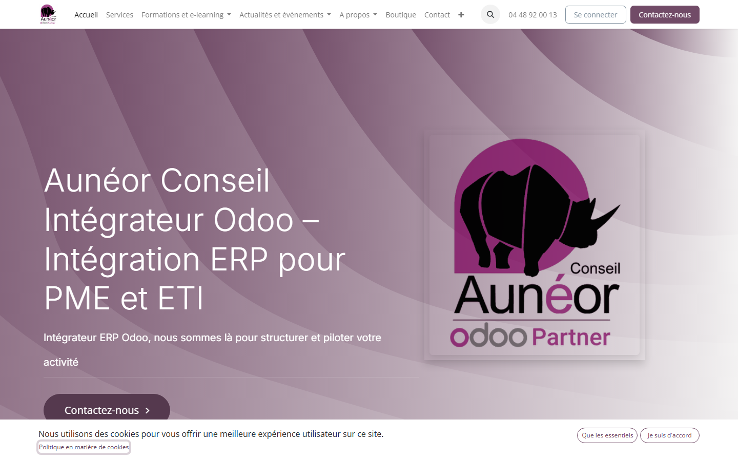 Aperçu du site de AUNEOR CONSEIL