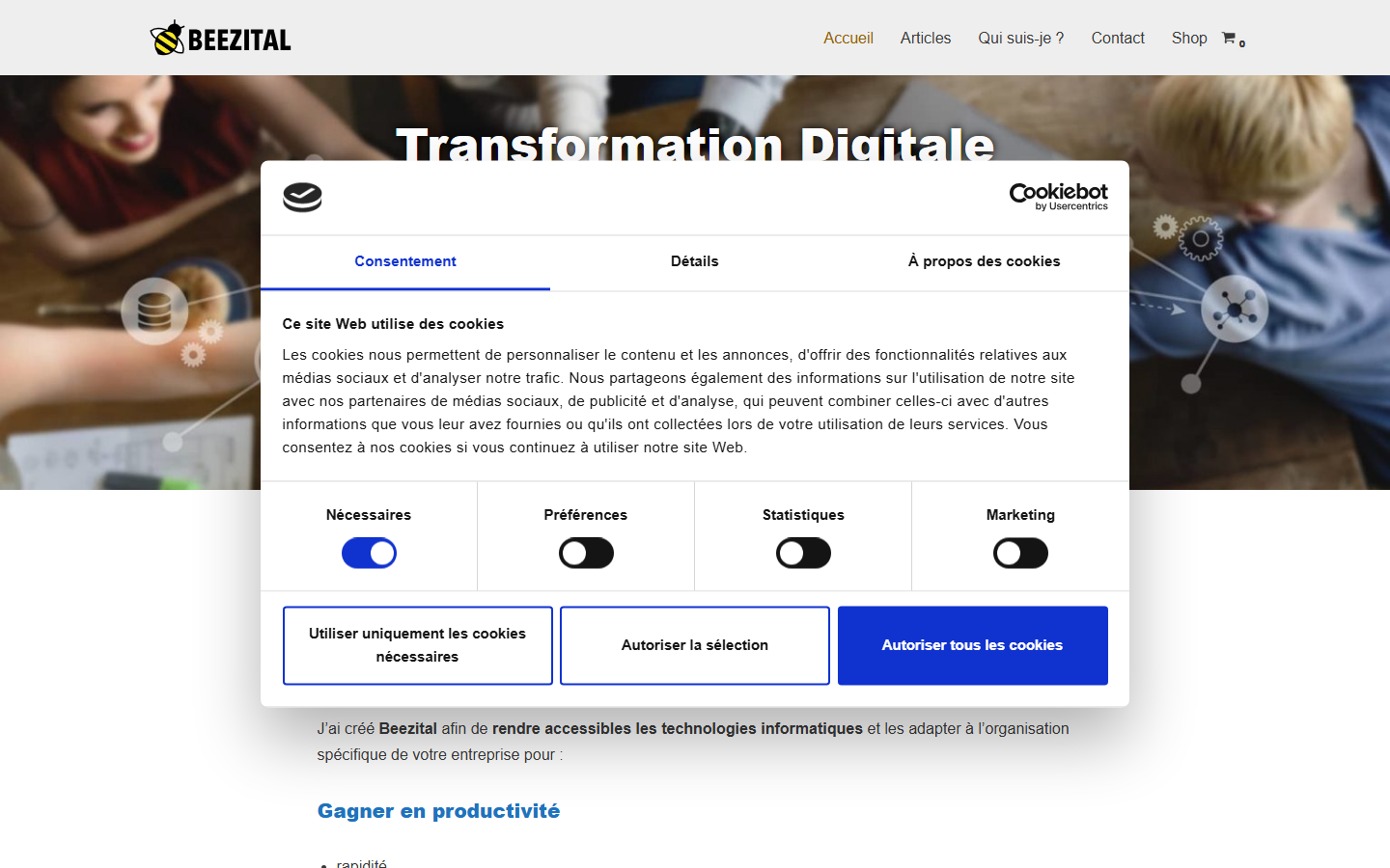 Aperçu du site de Beezital