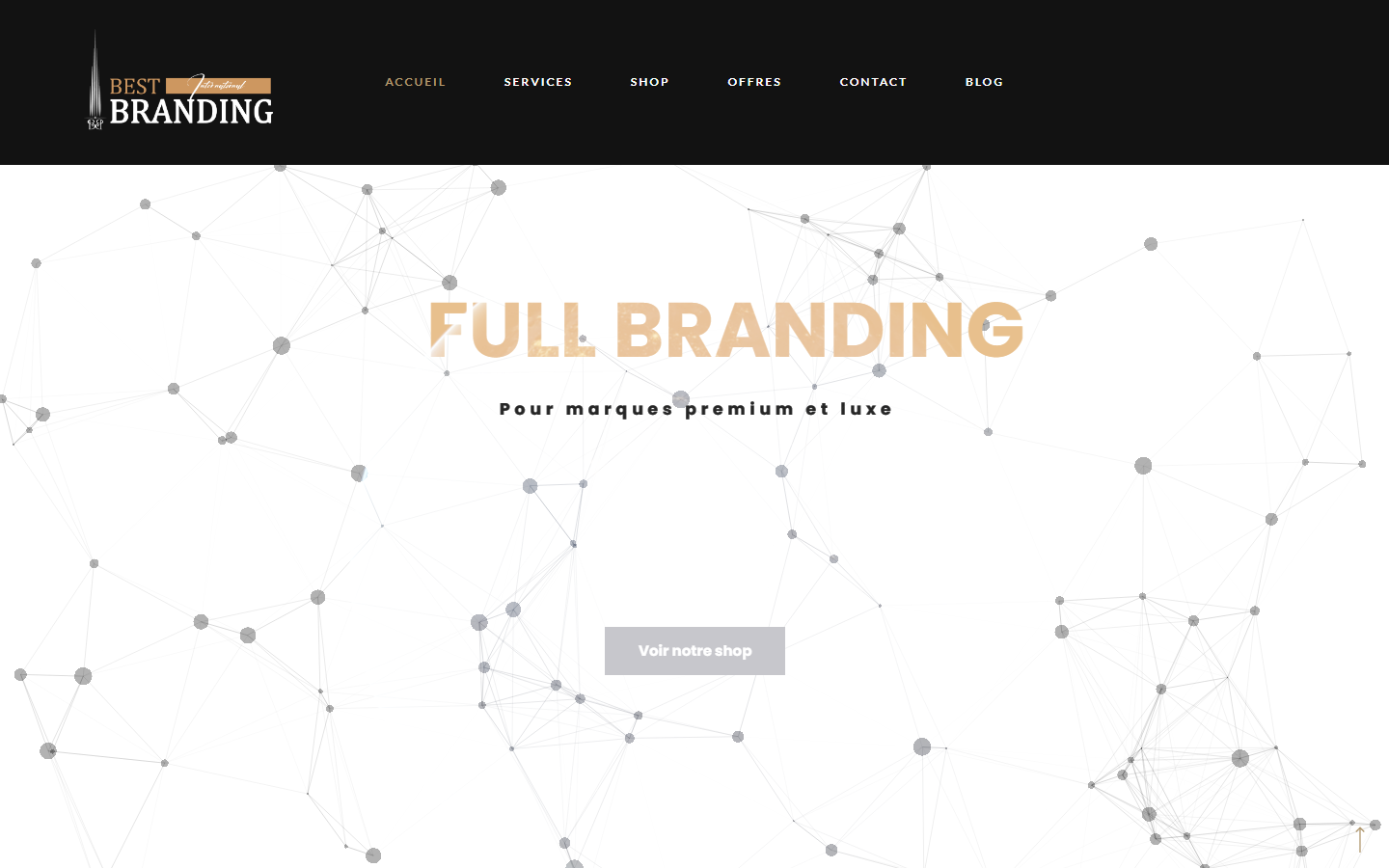 Aperçu du site de Best Branding