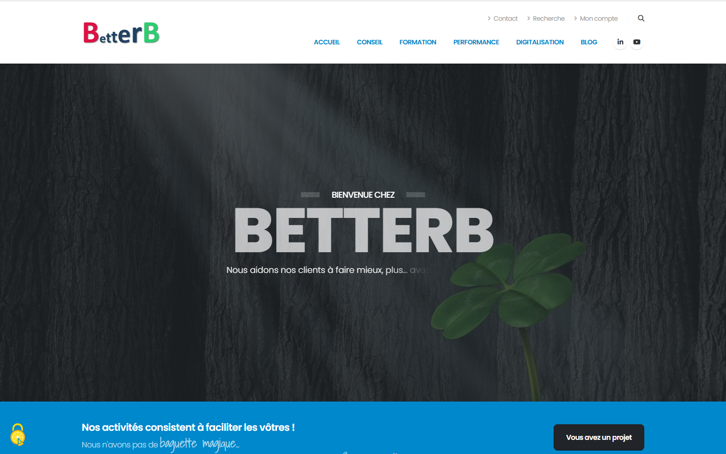 Aperçu du site de BETTERB