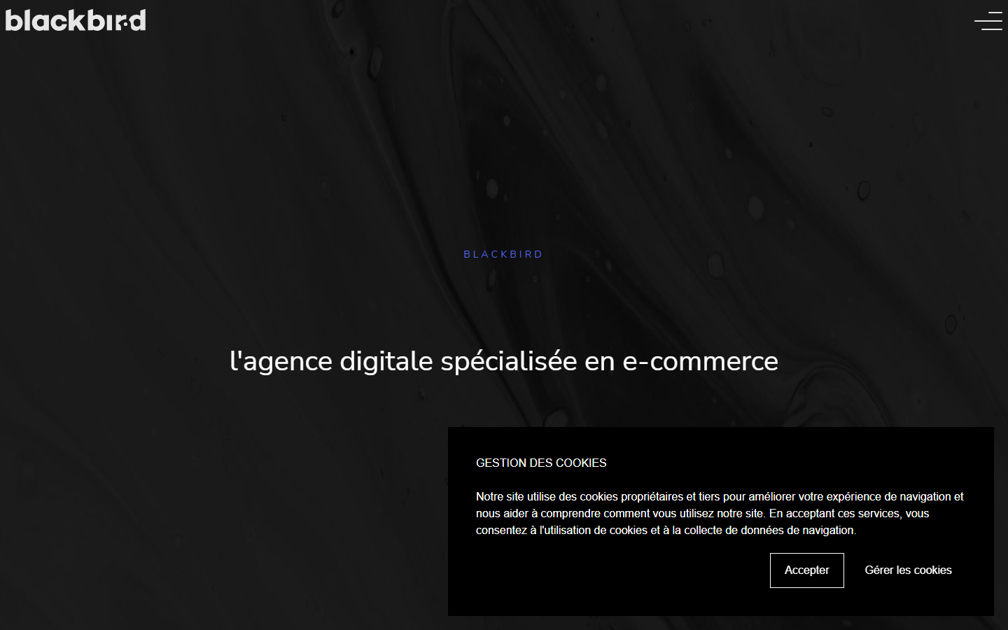 Aperçu du site de BLACKBIRD AGENCY