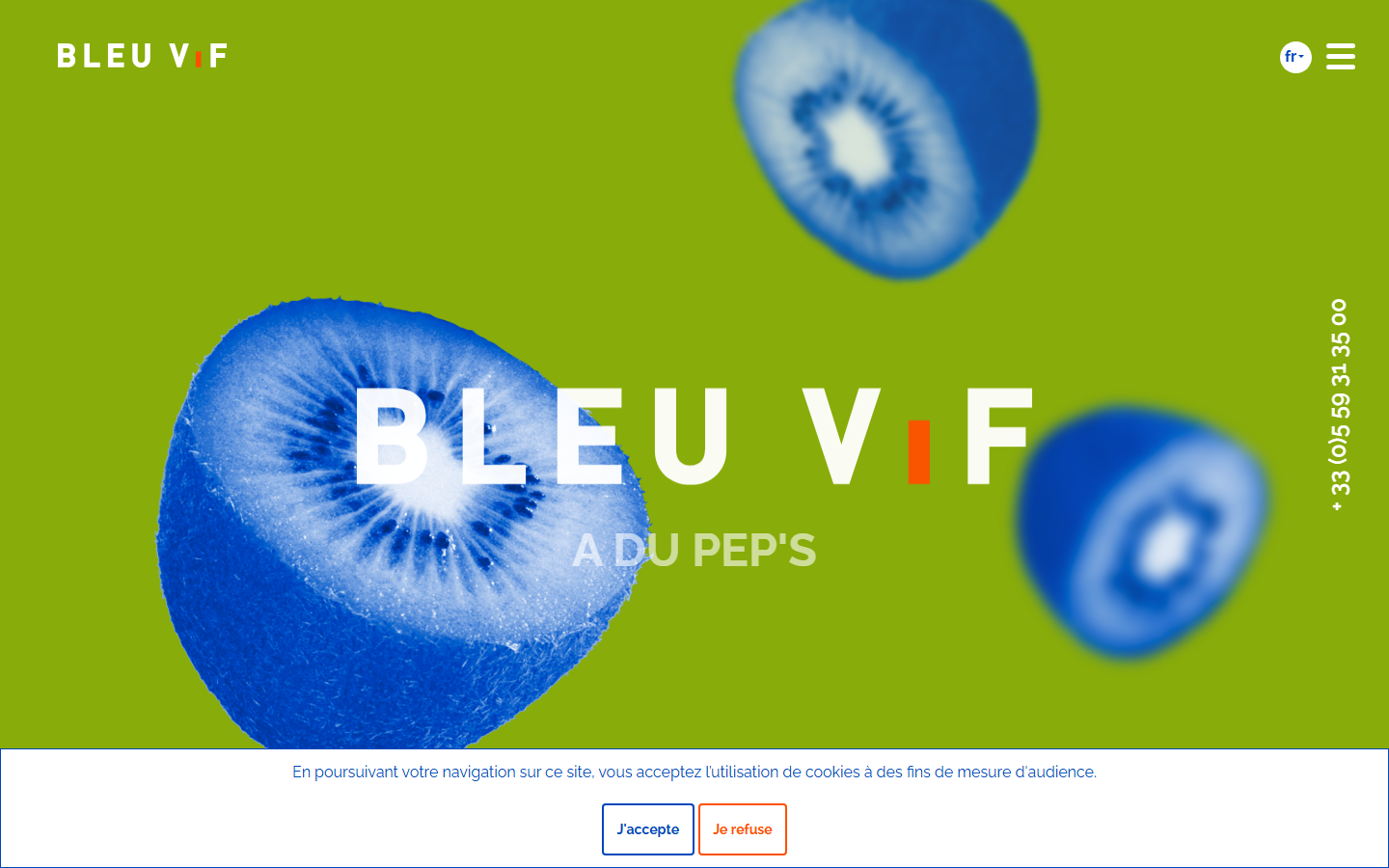 Aperçu du site de BLEU VIF