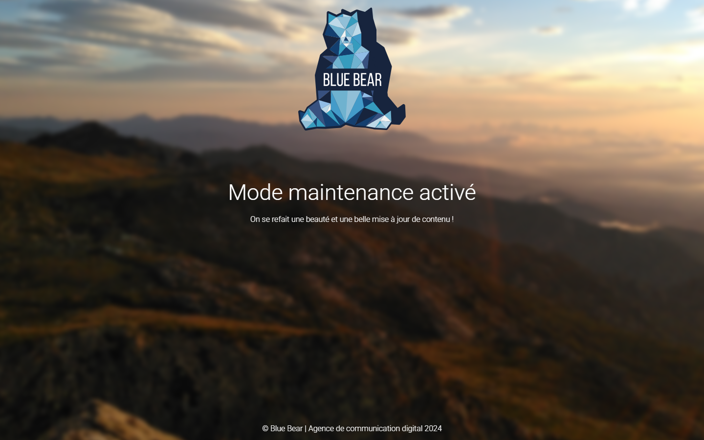 Aperçu du site de BLUE BEAR