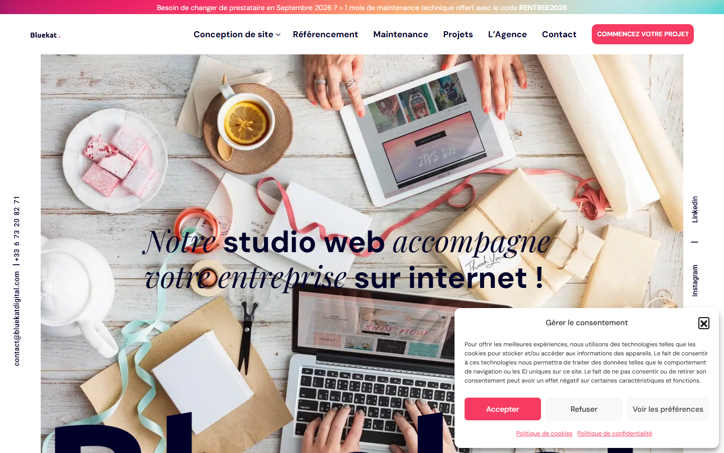 Aperçu du site de BLUEKAT DIGITAL