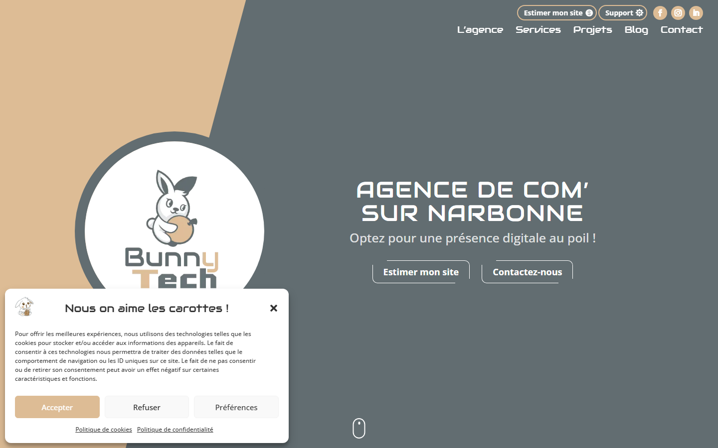 Aperçu du site de Bunnytech