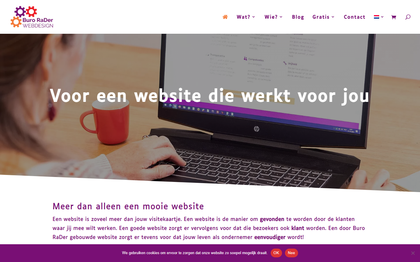 Aperçu du site de Buro Rader
