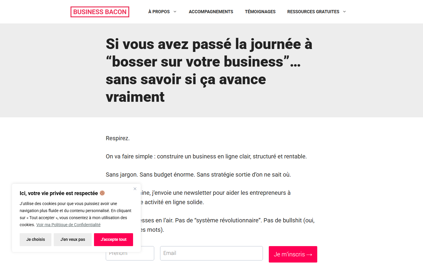 Aperçu du site de Paul DUGUE EI