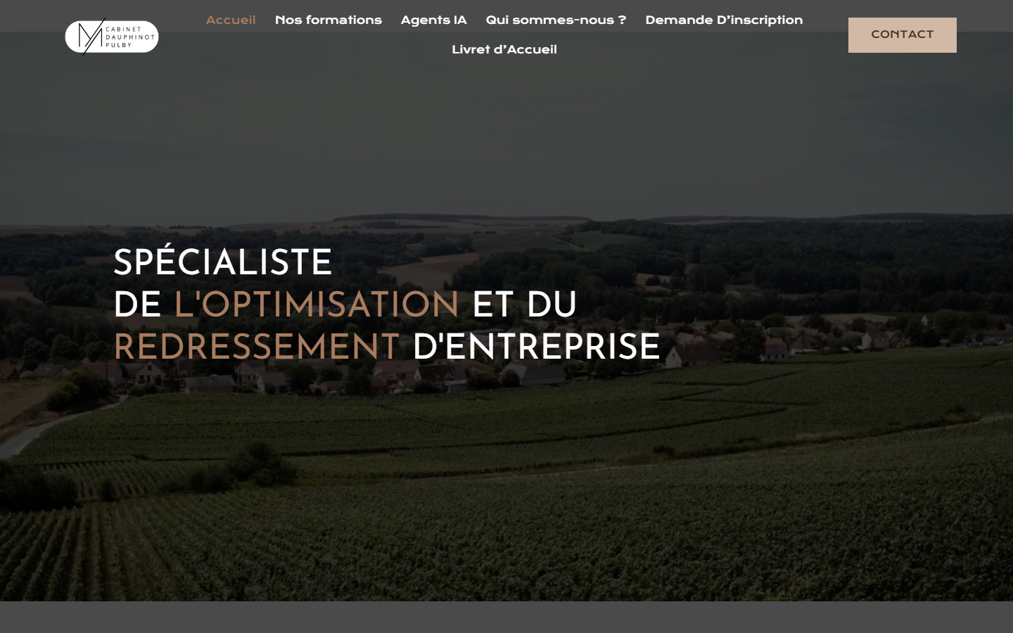 Aperçu du site de CABINET DAUPHINOT PULBY