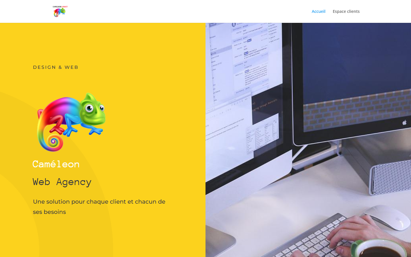 Aperçu du site de Cameleonagency protectPC KPE