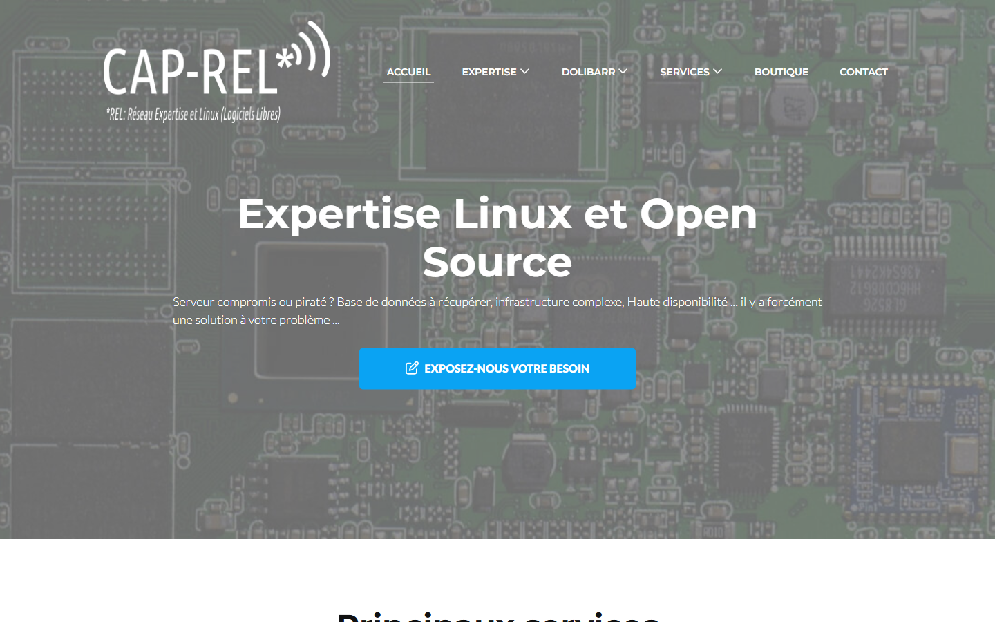 Aperçu du site de CAP-REL