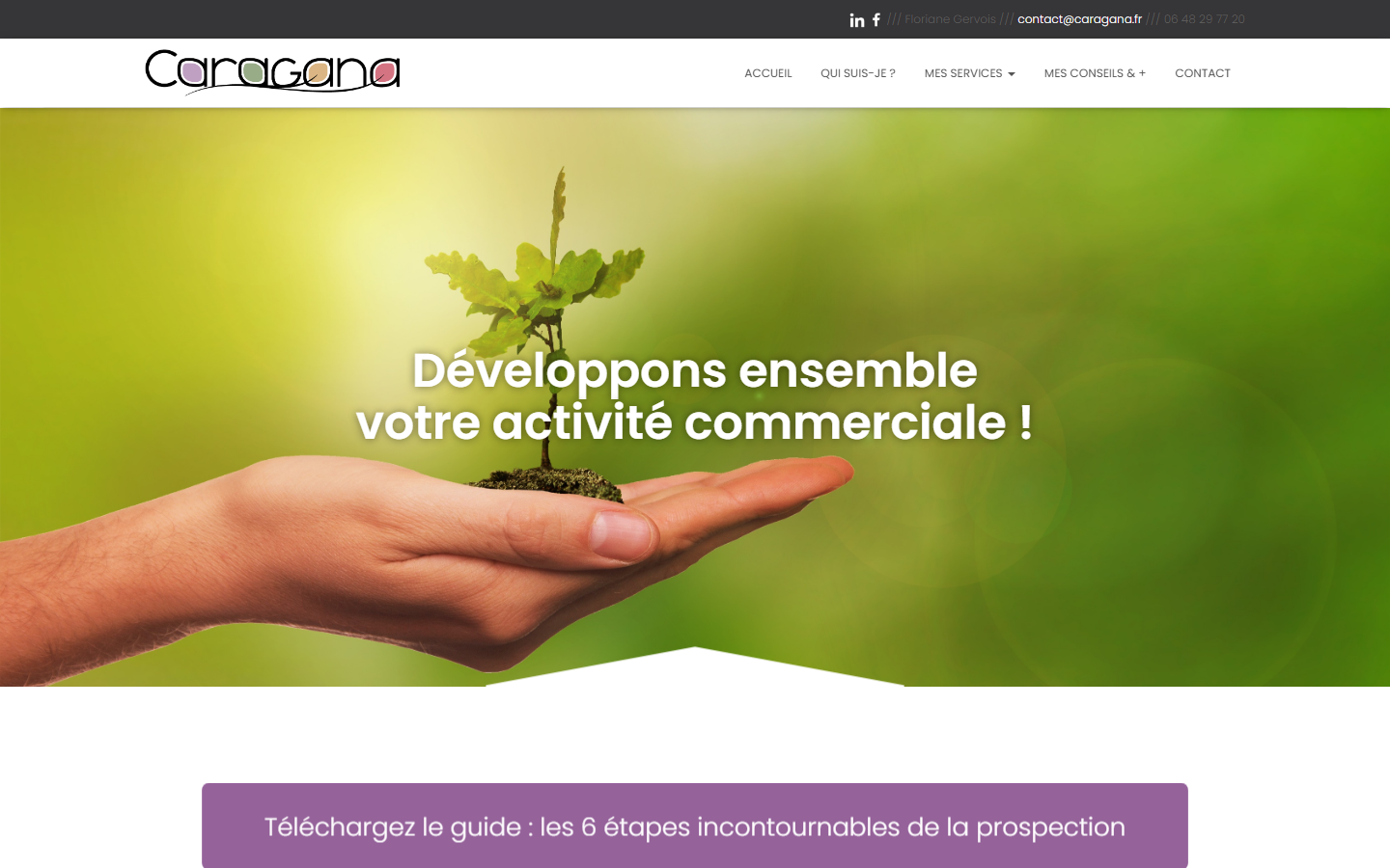 Aperçu du site de Caragana