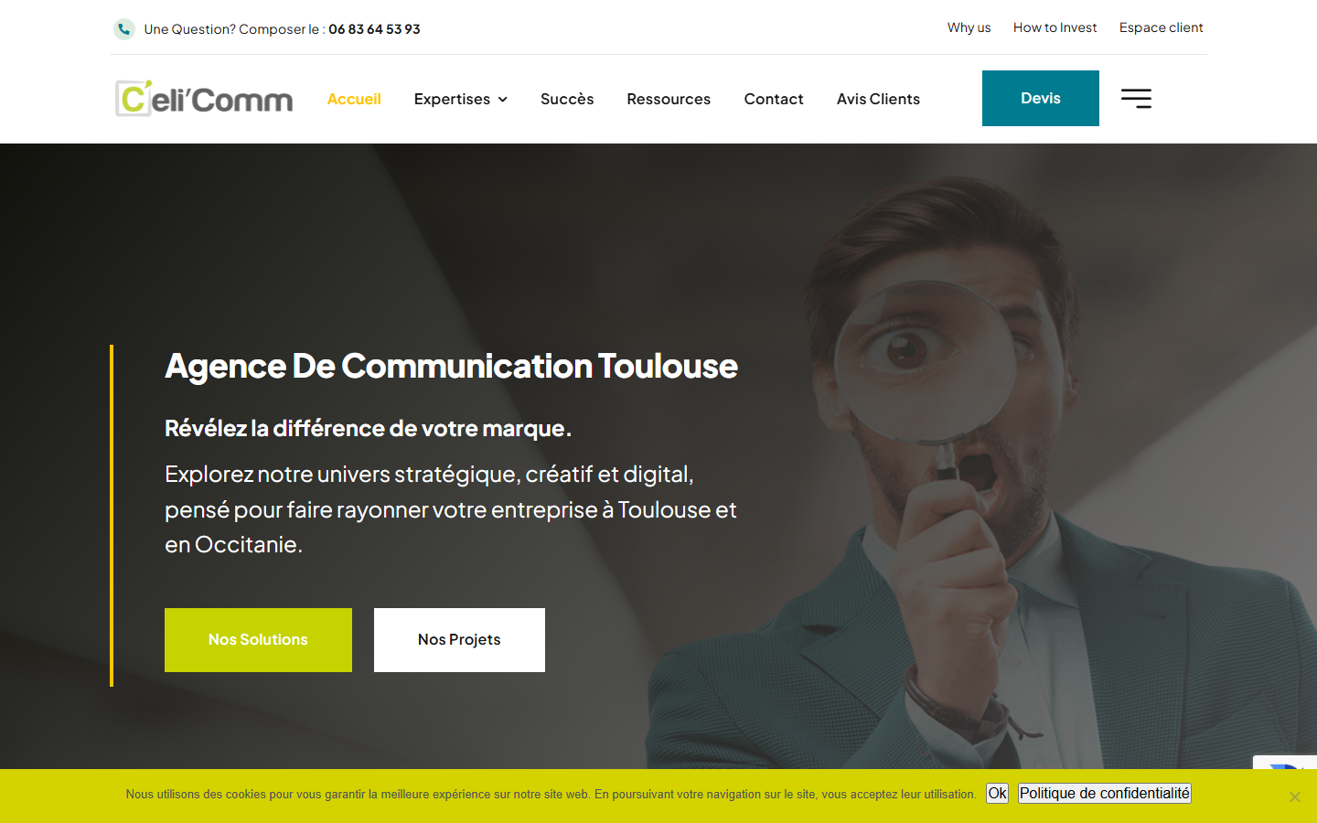 Aperçu du site de Celicomm