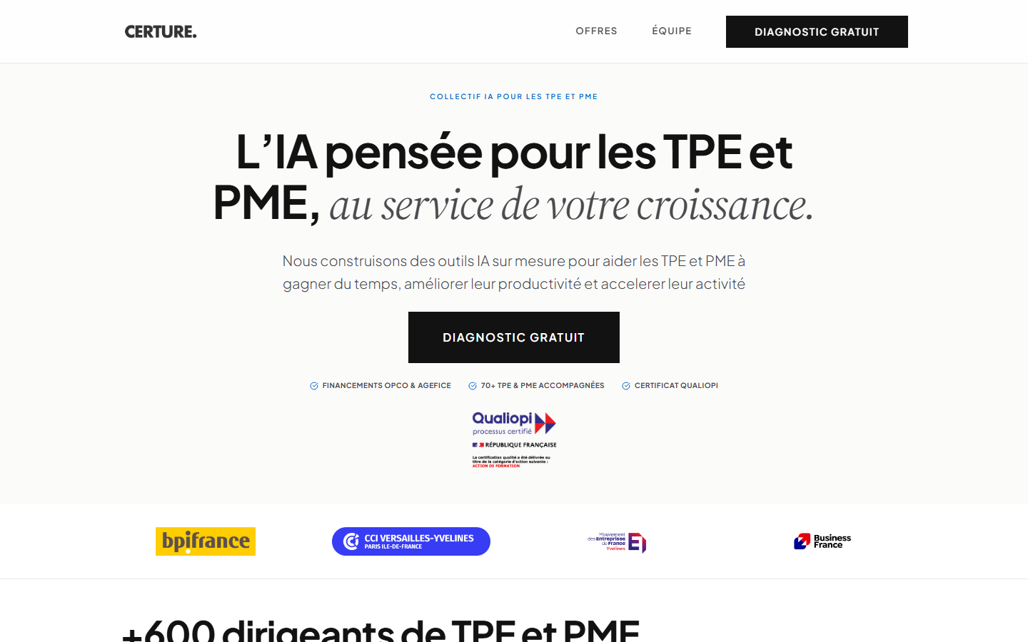 Aperçu du site de CERTURE