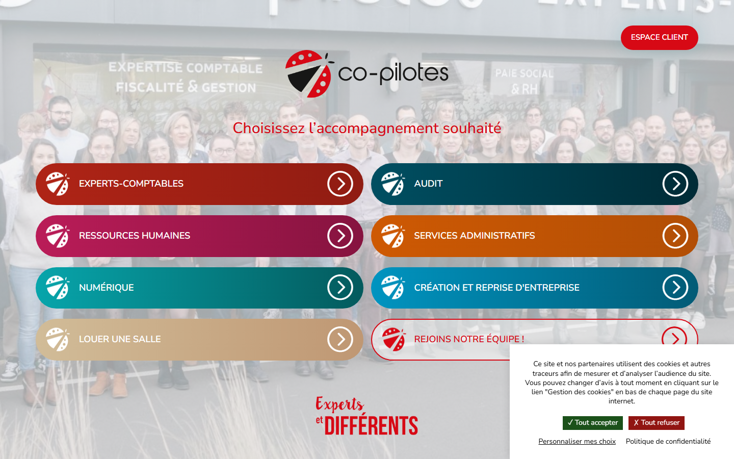 Aperçu du site de Co-pilotes Numerique