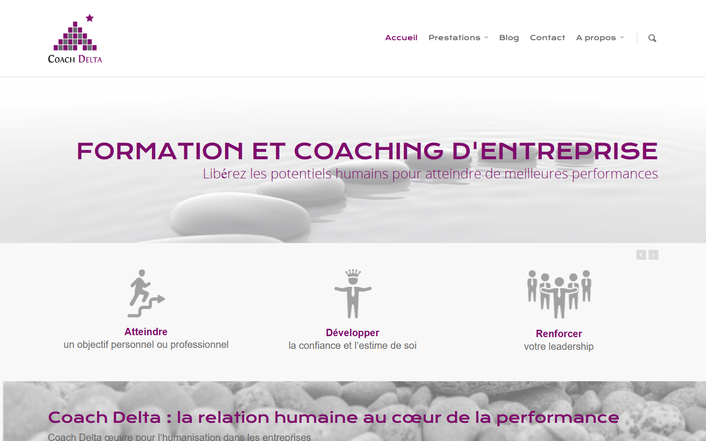 Aperçu du site de Coach Delta