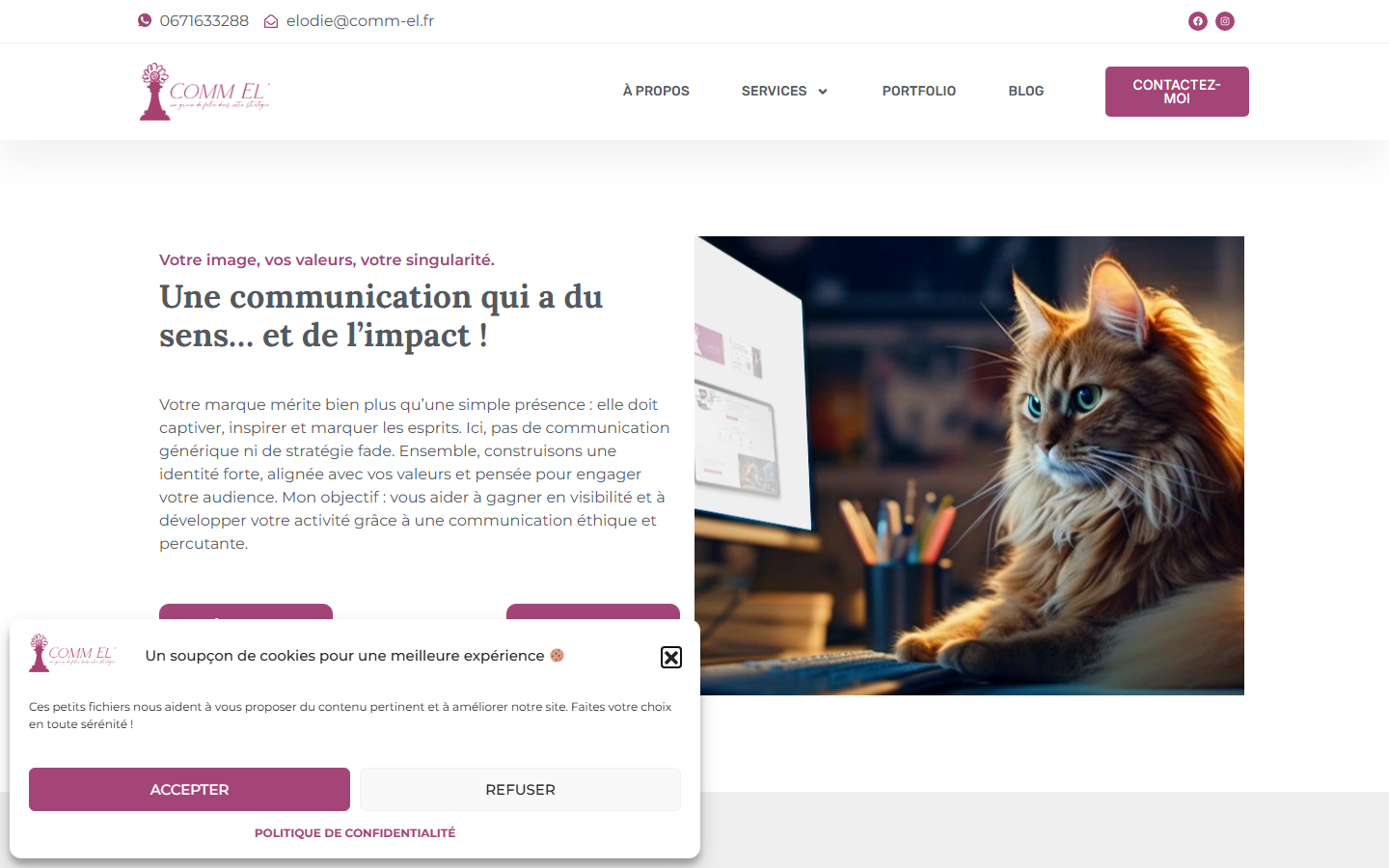 Aperçu du site de Comm El'