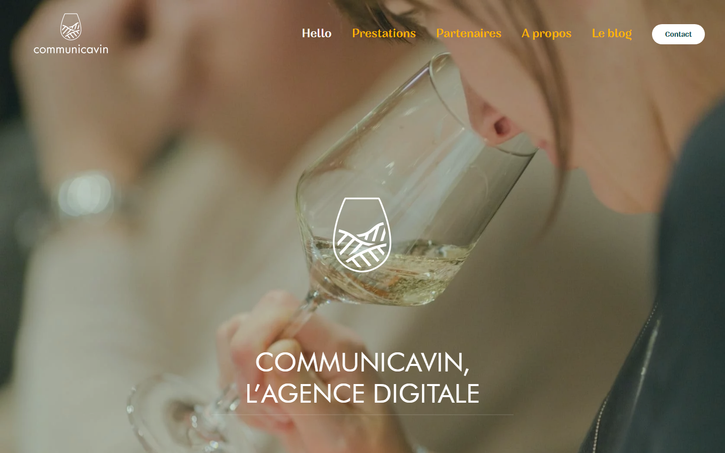 Aperçu du site de Communicavin