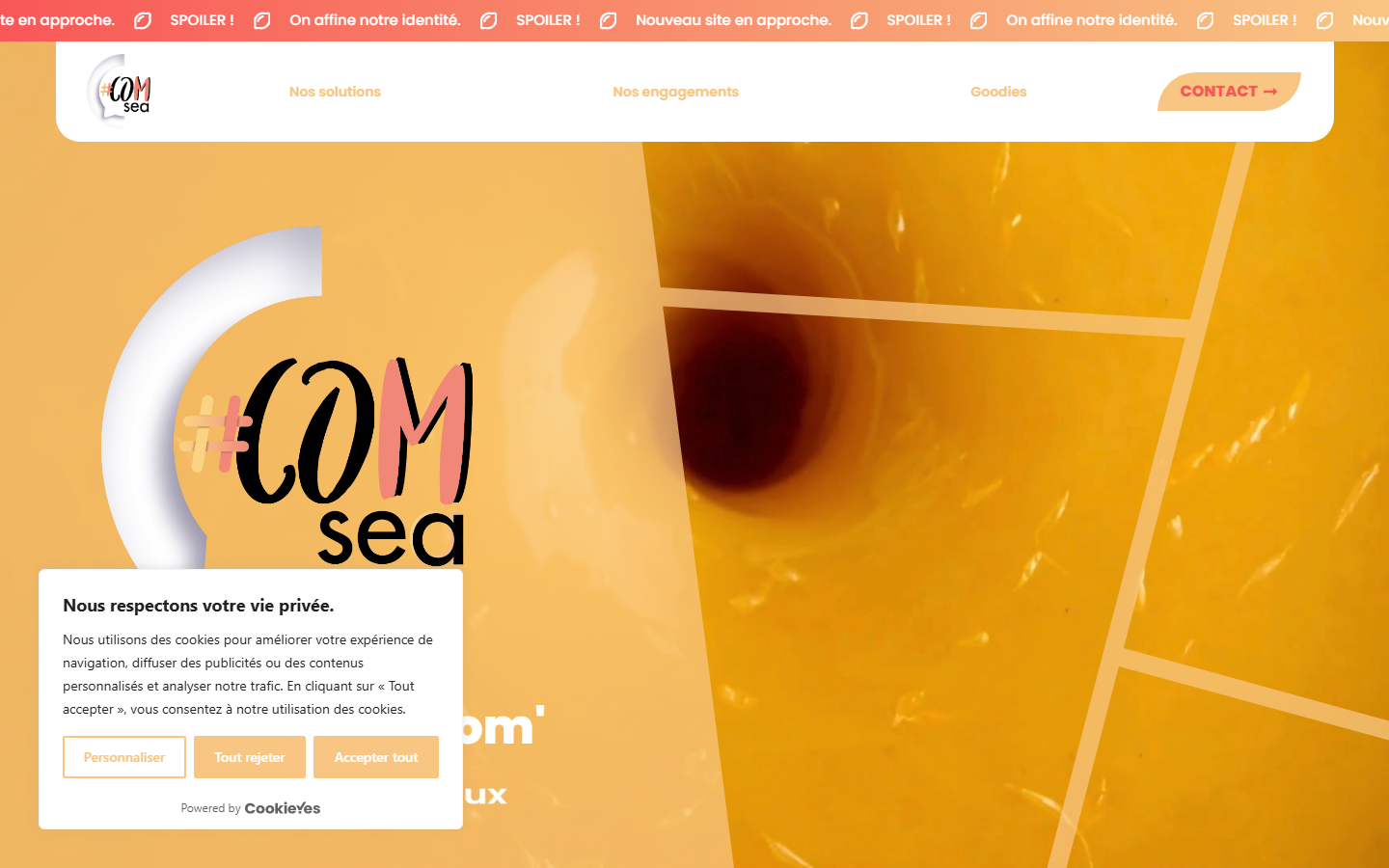 Aperçu du site de COMSEA