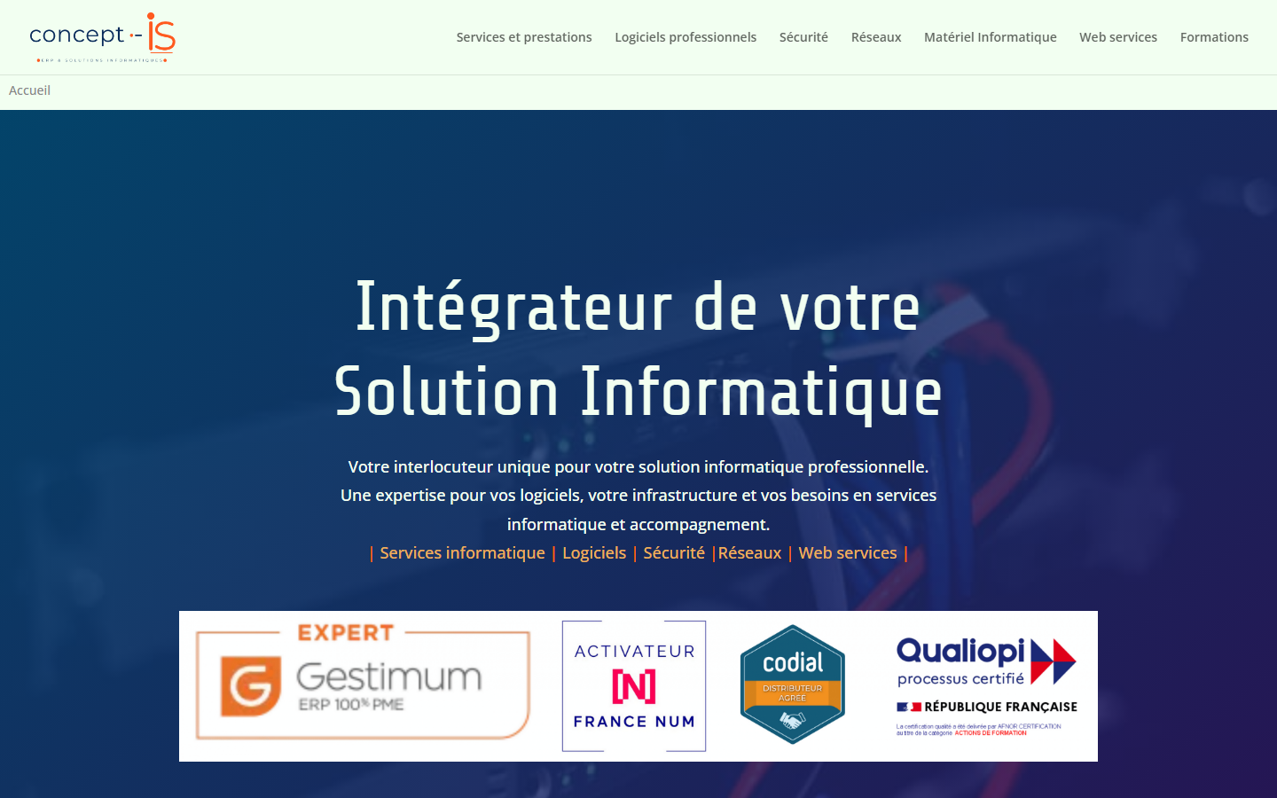Aperçu du site de Concept IS