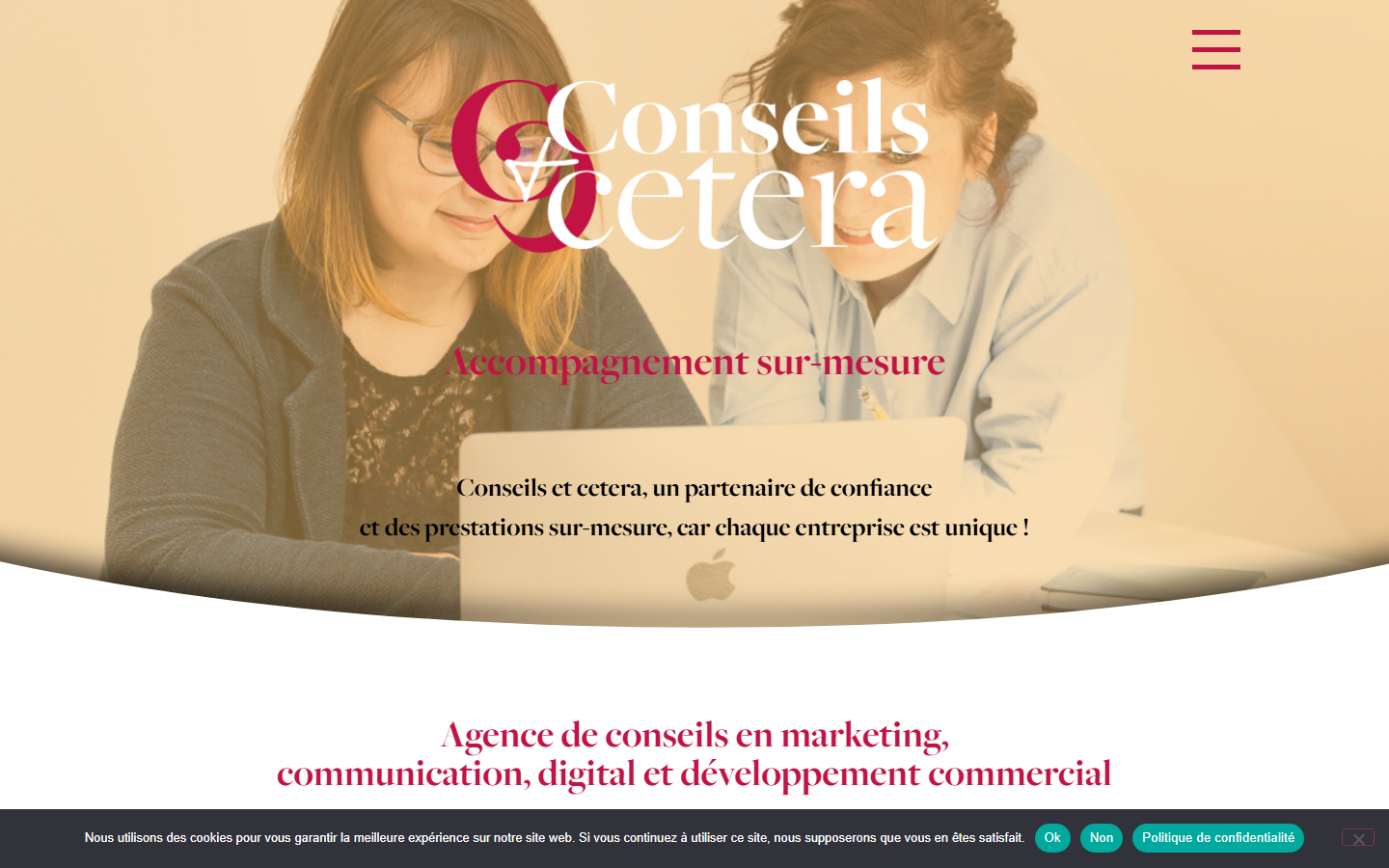 Aperçu du site de Conseils et Cetera