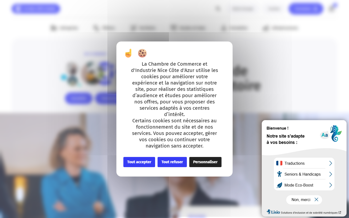 Aperçu du site de CHAMBRE DE COMMERCE ET D'INDUSTRIE NICE COTE D'AZUR