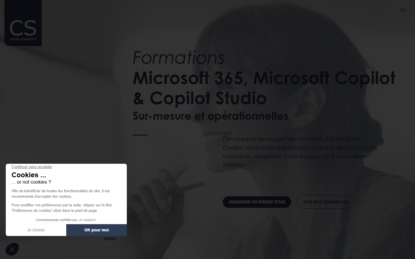 Aperçu du site de CS DIGITAL FORMATION