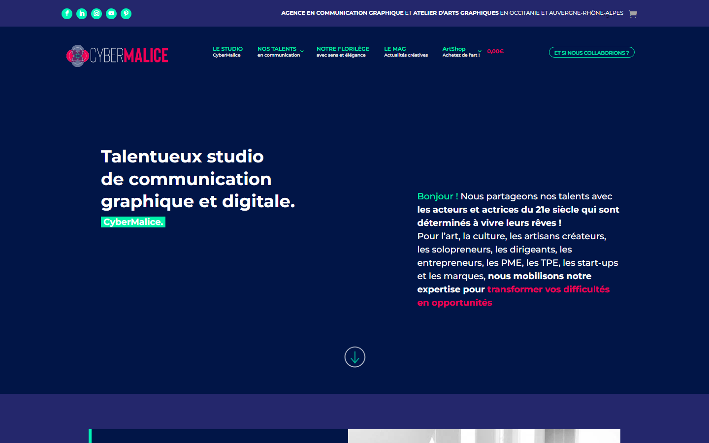 Aperçu du site de Studio Cybermalice
