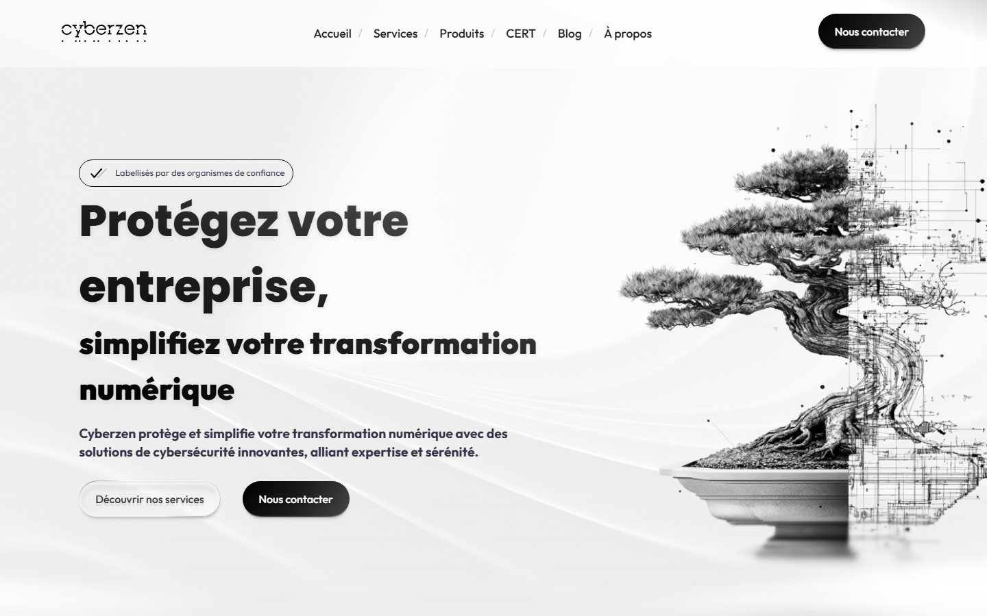 Aperçu du site de Cyberzen