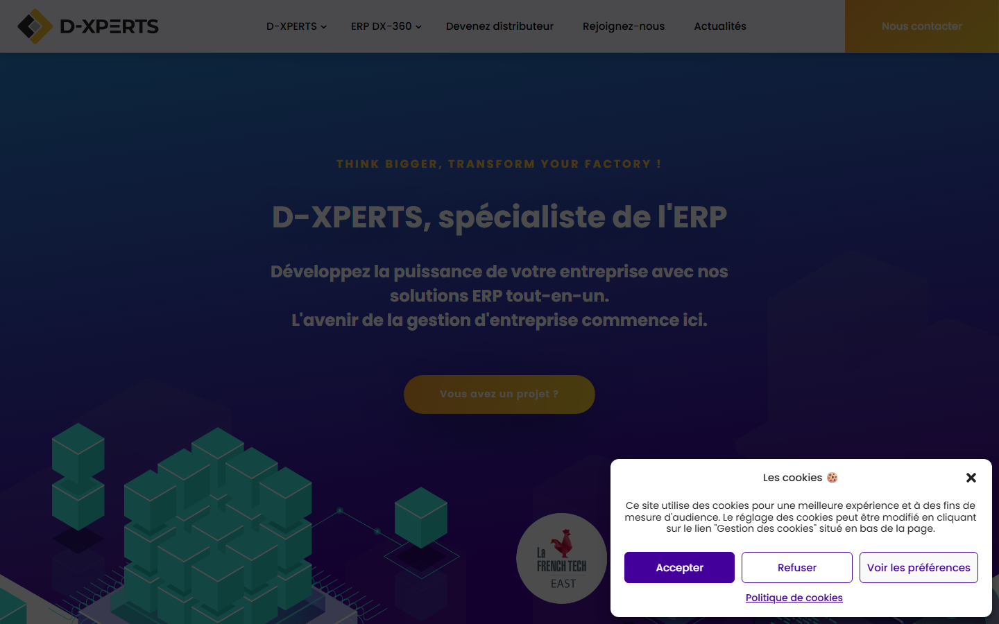 Aperçu du site de D-XPERTS